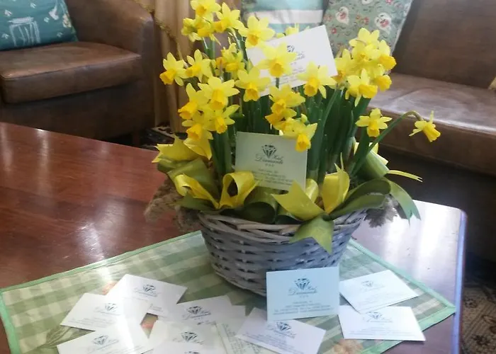 Diamante פרנקווילה אל מארה