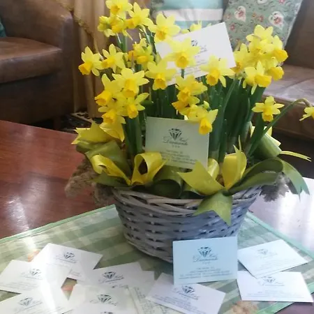 Diamante Francavilla Al Mare