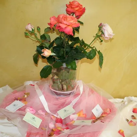 Diamante Ξενοδοχείο Francavilla Al Mare